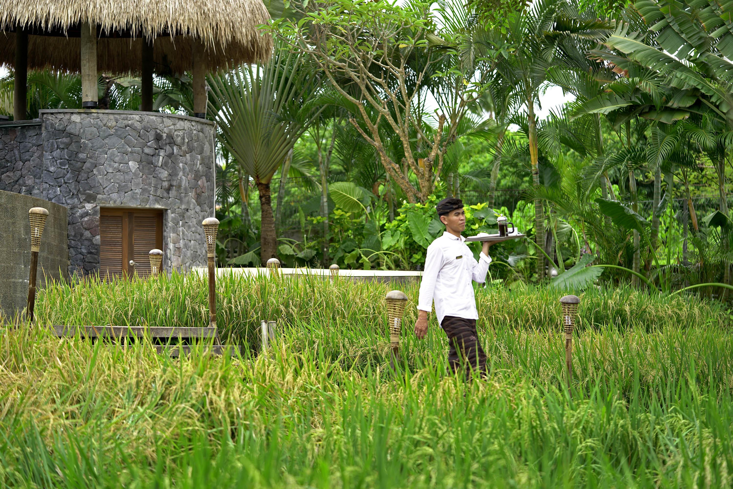 Lalasa Villas Dalung  Ngoại thất bức ảnh